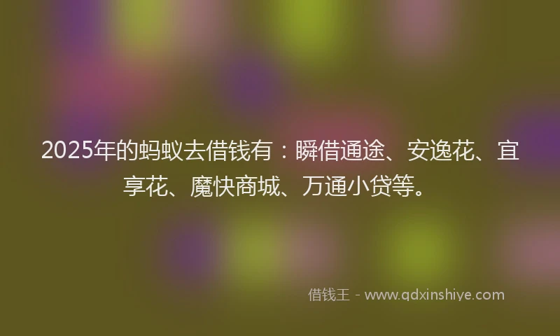 2025年的蚂蚁去借钱有：瞬借通途、安逸花、宜享花、魔快商城、万通小贷等。