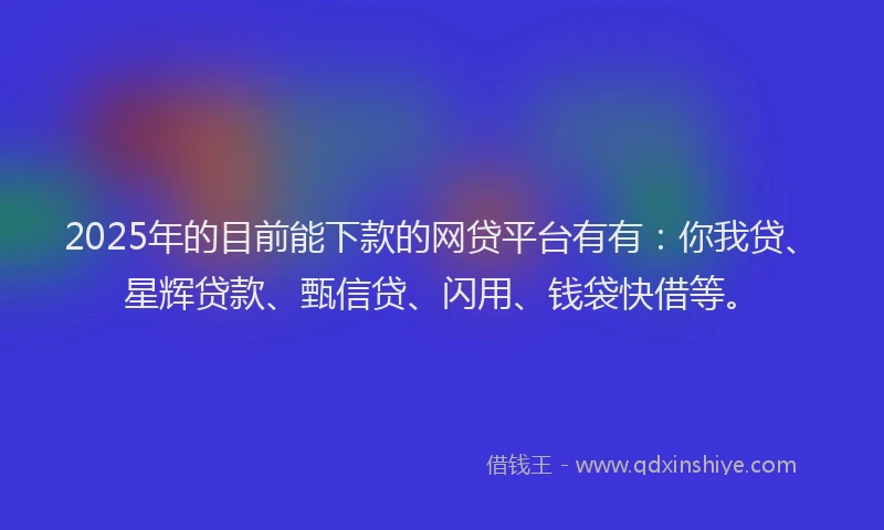2025年的目前能下款的网贷平台有有：你我贷、星辉贷款、甄信贷、闪用、钱袋快借等。