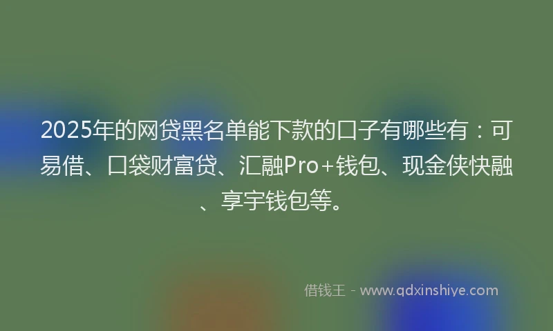 2025年的网贷黑名单能下款的口子有哪些有：可易借、口袋财富贷、汇融Pro+钱包、现金侠快融、享宇钱包等。