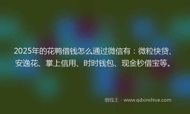2025年的花鸭借钱怎么通过微信有：微粒快贷、安逸花、掌上信用、时时钱包、现金秒借宝等。