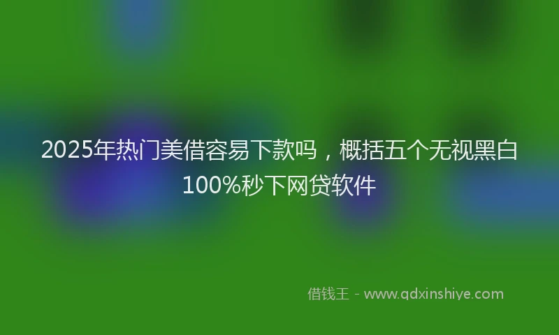 2025年热门美借容易下款吗，概括五个无视黑白100%秒下网贷软件