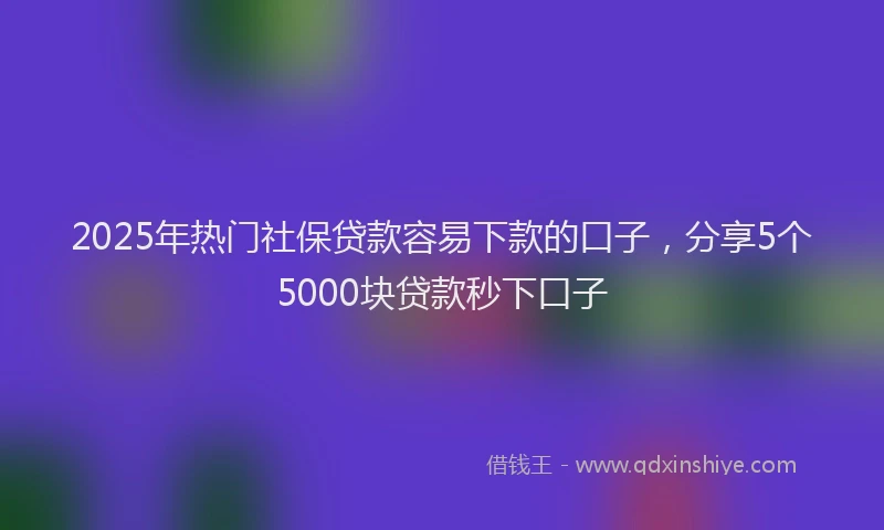 2025年热门社保贷款容易下款的口子，分享5个5000块贷款秒下口子