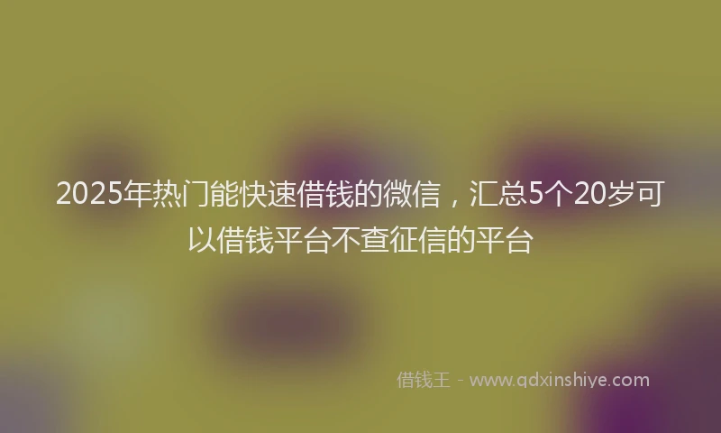 2025年热门能快速借钱的微信，汇总5个20岁可以借钱平台不查征信的平台