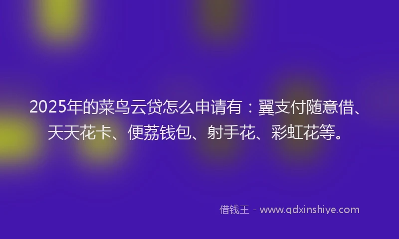 2025年的菜鸟云贷怎么申请有：翼支付随意借、天天花卡、便荔钱包、射手花、彩虹花等。