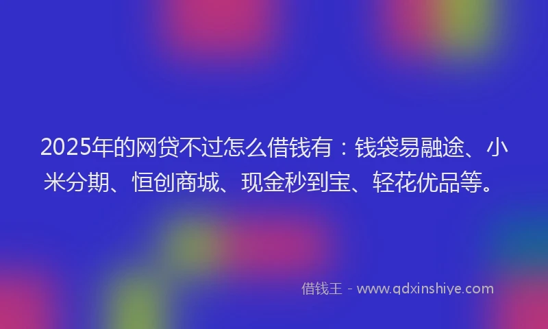 2025年的网贷不过怎么借钱有：钱袋易融途、小米分期、恒创商城、现金秒到宝、轻花优品等。