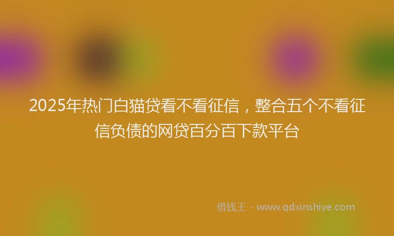 2025年热门白猫贷看不看征信，整合五个不看征信负债的网贷百分百下款平台