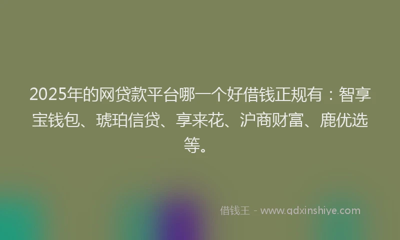 2025年的网贷款平台哪一个好借钱正规有：智享宝钱包、琥珀信贷、享来花、沪商财富、鹿优选等。