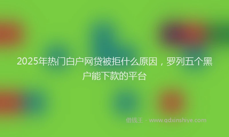 2025年热门白户网贷被拒什么原因，罗列五个黑户能下款的平台