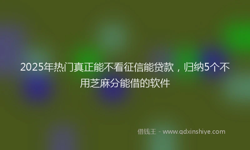 2025年热门真正能不看征信能贷款，归纳5个不用芝麻分能借的软件