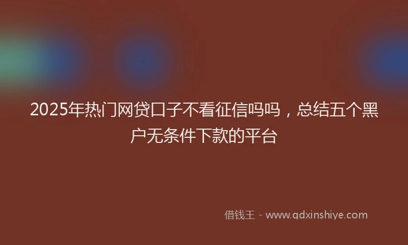 2025年热门网贷口子不看征信吗吗，总结五个黑户无条件下款的平台