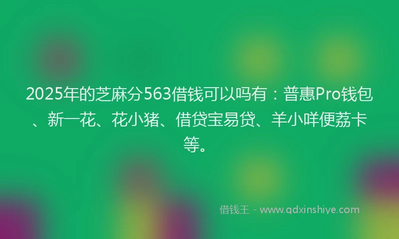 2025年的芝麻分563借钱可以吗有：普惠Pro钱包、新一花、花小猪、借贷宝易贷、羊小咩便荔卡等。
