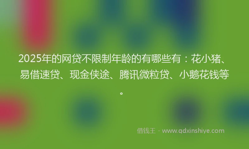 2025年的网贷不限制年龄的有哪些有：花小猪、易借速贷、现金侠途、腾讯微粒贷、小鹅花钱等。