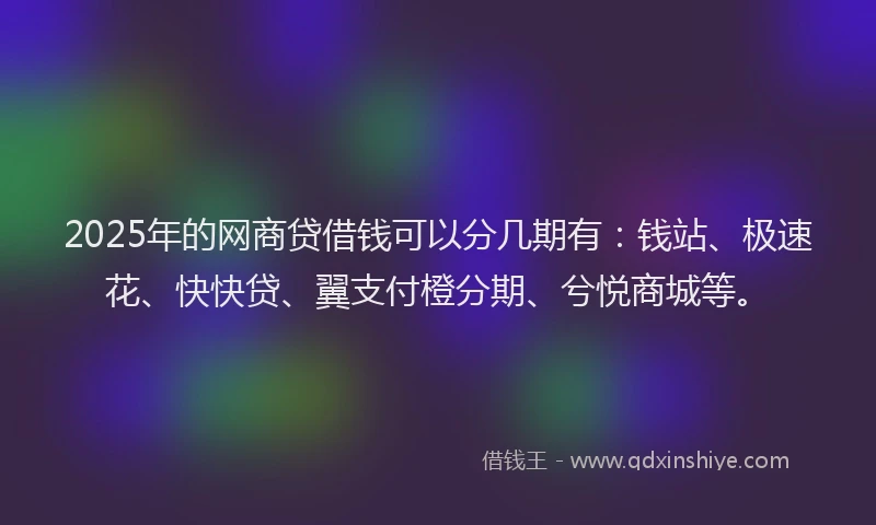 2025年的网商贷借钱可以分几期有：钱站、极速花、快快贷、翼支付橙分期、兮悦商城等。