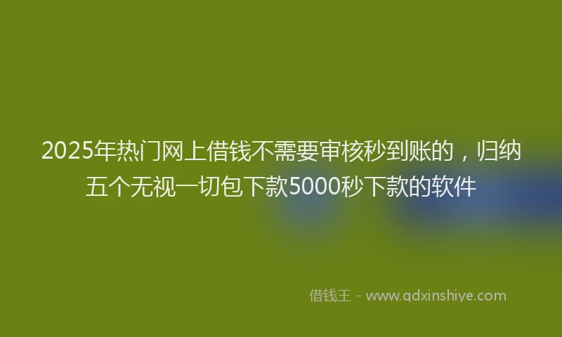 2025年热门网上借钱不需要审核秒到账的，归纳五个无视一切包下款5000秒下款的软件