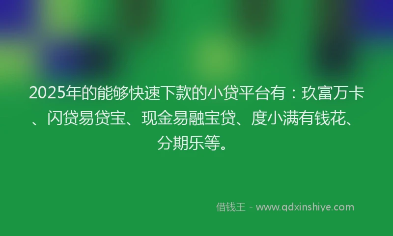 2025年的能够快速下款的小贷平台有：玖富万卡、闪贷易贷宝、现金易融宝贷、度小满有钱花、分期乐等。