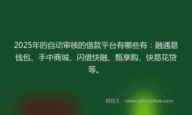 2025年的自动审核的借款平台有哪些有：融通易钱包、手中商城、闪借快融、甄享购、快易花贷等。