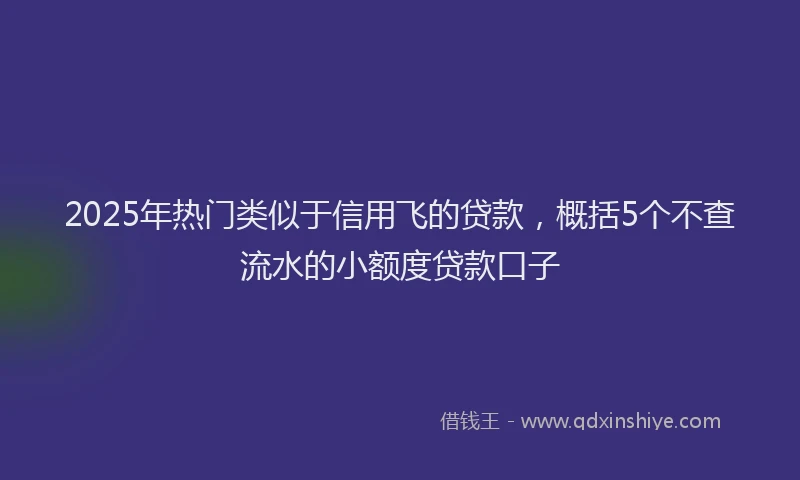 2025年热门类似于信用飞的贷款，概括5个不查流水的小额度贷款口子