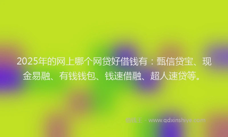 2025年的网上哪个网贷好借钱有：甄信贷宝、现金易融、有钱钱包、钱速借融、超人速贷等。