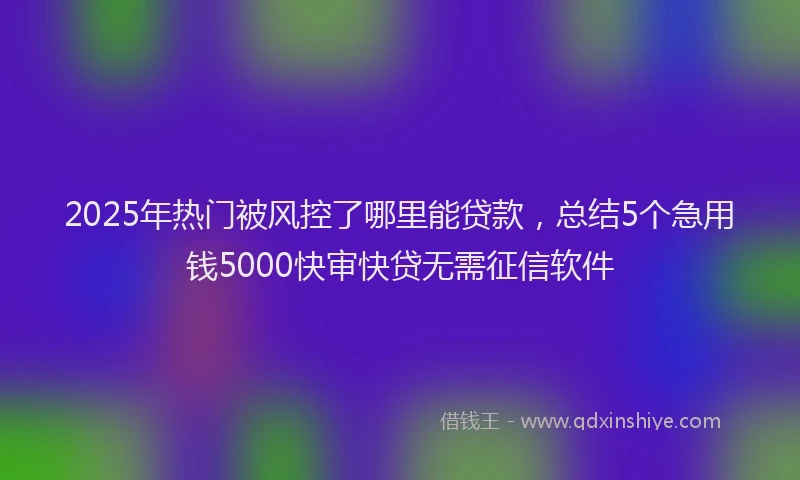 2025年热门被风控了哪里能贷款，总结5个急用钱5000快审快贷无需征信软件