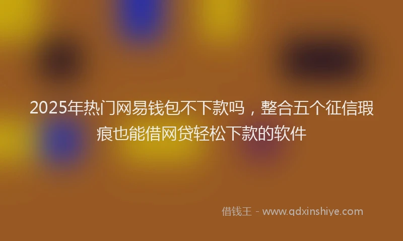 2025年热门网易钱包不下款吗，整合五个征信瑕疵也能借网贷轻松下款的软件