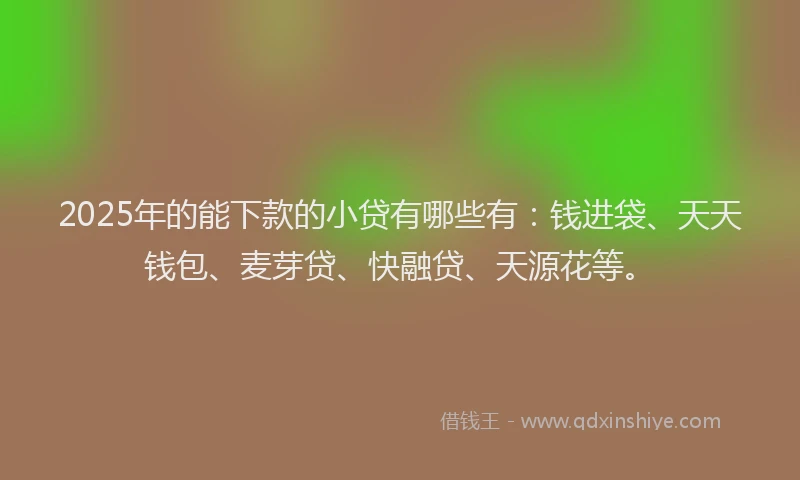 2025年的能下款的小贷有哪些有：钱进袋、天天钱包、麦芽贷、快融贷、天源花等。