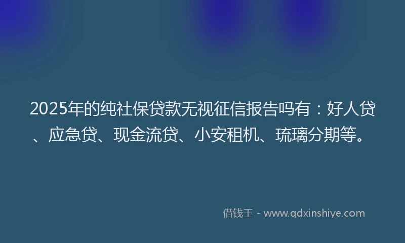 2025年的纯社保贷款无视征信报告吗有：好人贷、应急贷、现金流贷、小安租机、琉璃分期等。