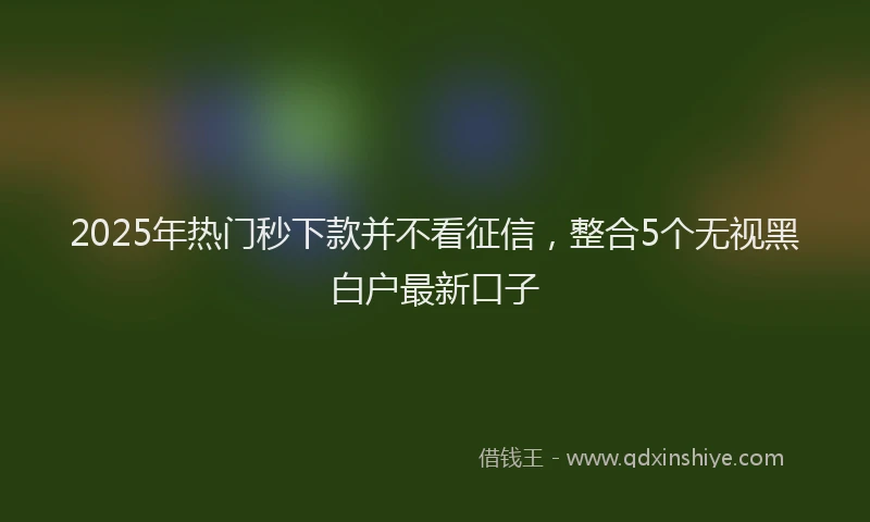 2025年热门秒下款并不看征信，整合5个无视黑白户最新口子
