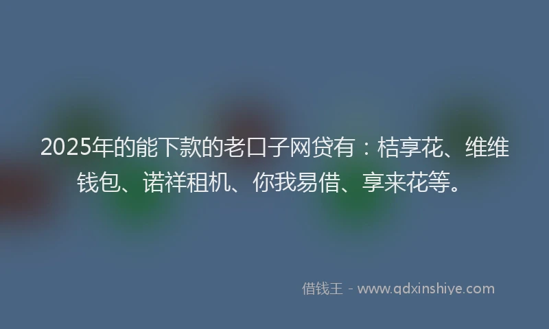 2025年的能下款的老口子网贷有：桔享花、维维钱包、诺祥租机、你我易借、享来花等。