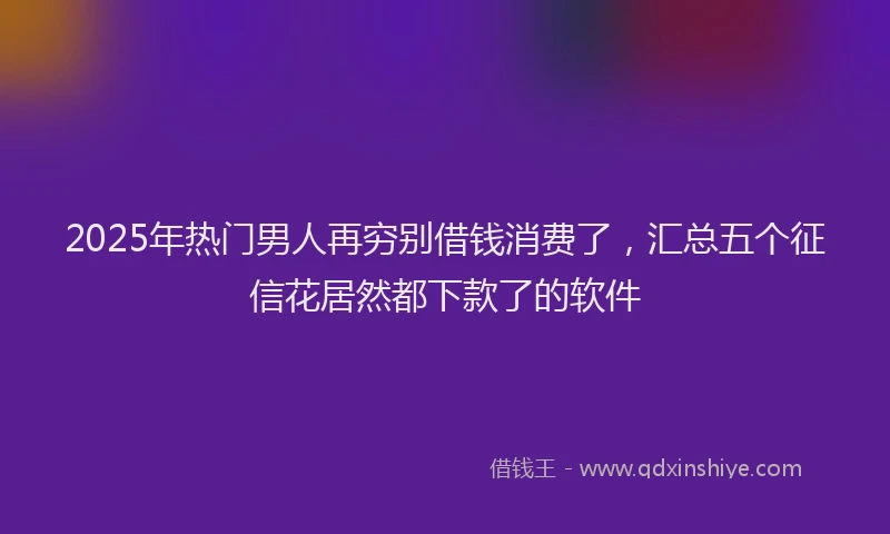 2025年热门男人再穷别借钱消费了，汇总五个征信花居然都下款了的软件