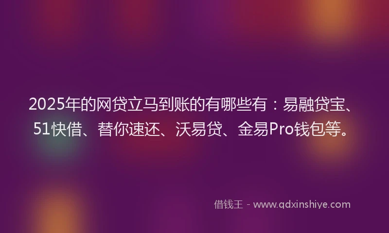2025年的网贷立马到账的有哪些有：易融贷宝、51快借、替你速还、沃易贷、金易Pro钱包等。