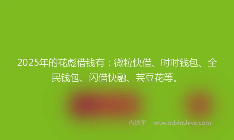 2025年的花彪借钱有：微粒快借、时时钱包、全民钱包、闪借快融、芸豆花等。
