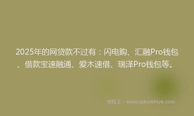 2025年的网贷款不过有：闪电购、汇融Pro钱包、借款宝速融通、爱木速借、瑞泽Pro钱包等。