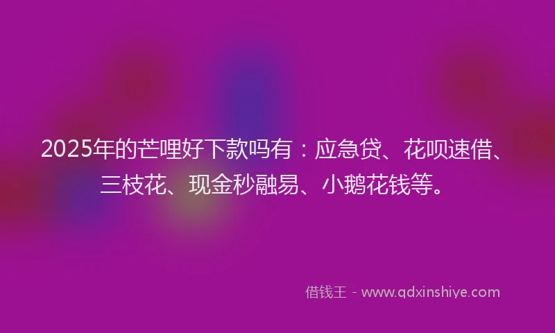 2025年的芒哩好下款吗有：应急贷、花呗速借、三枝花、现金秒融易、小鹅花钱等。
