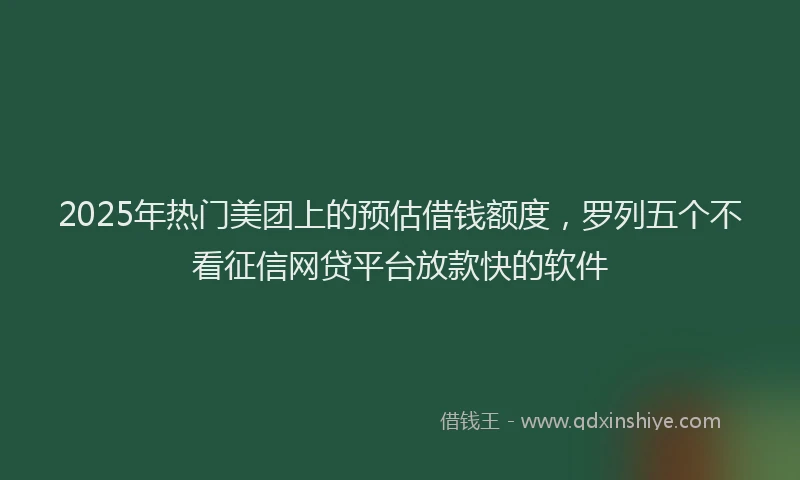 2025年热门美团上的预估借钱额度，罗列五个不看征信网贷平台放款快的软件