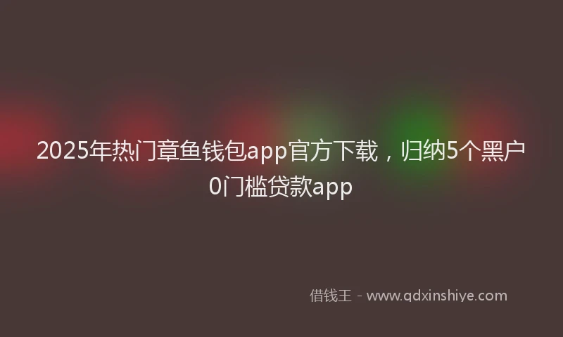 2025年热门章鱼钱包app官方下载，归纳5个黑户0门槛贷款app