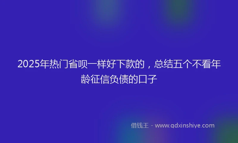 2025年热门省呗一样好下款的，总结五个不看年龄征信负债的口子