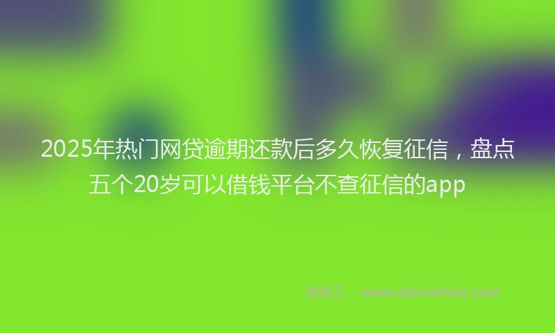 2025年热门网贷逾期还款后多久恢复征信，盘点五个20岁可以借钱平台不查征信的app