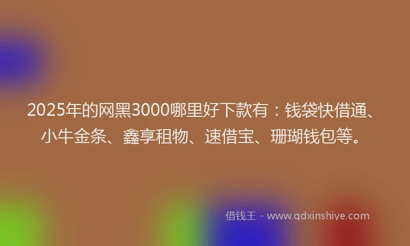 2025年的网黑3000哪里好下款有：钱袋快借通、小牛金条、鑫享租物、速借宝、珊瑚钱包等。