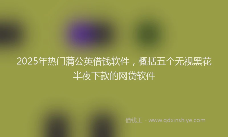 2025年热门蒲公英借钱软件，概括五个无视黑花半夜下款的网贷软件