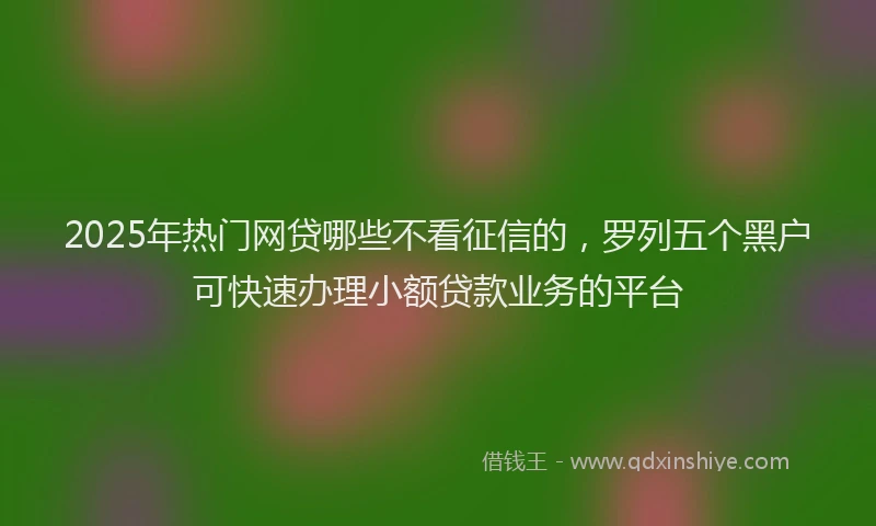 2025年热门网贷哪些不看征信的，罗列五个黑户可快速办理小额贷款业务的平台