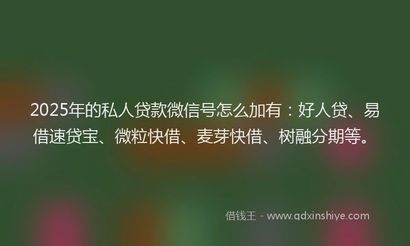 2025年的私人贷款微信号怎么加有：好人贷、易借速贷宝、微粒快借、麦芽快借、树融分期等。