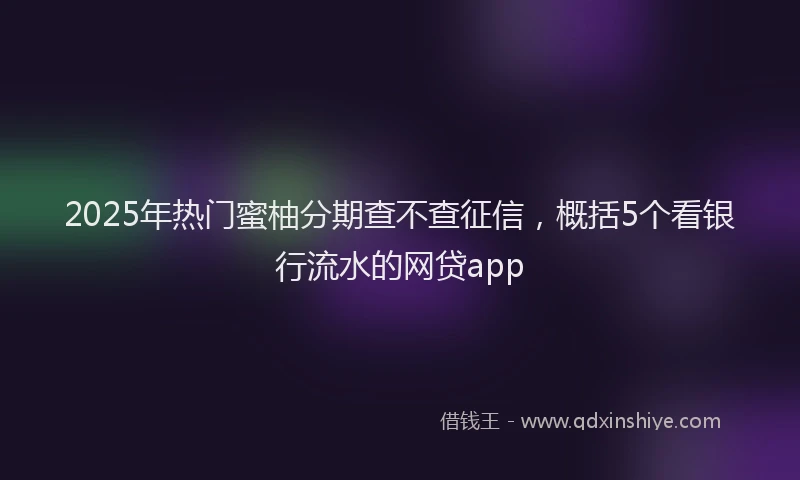 2025年热门蜜柚分期查不查征信，概括5个看银行流水的网贷app