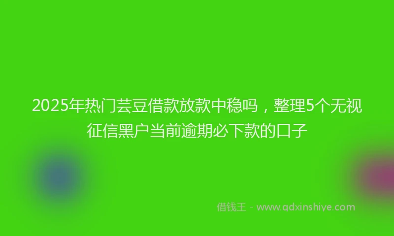 2025年热门芸豆借款放款中稳吗，整理5个无视征信黑户当前逾期必下款的口子