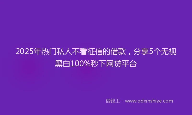 2025年热门私人不看征信的借款，分享5个无视黑白100%秒下网贷平台
