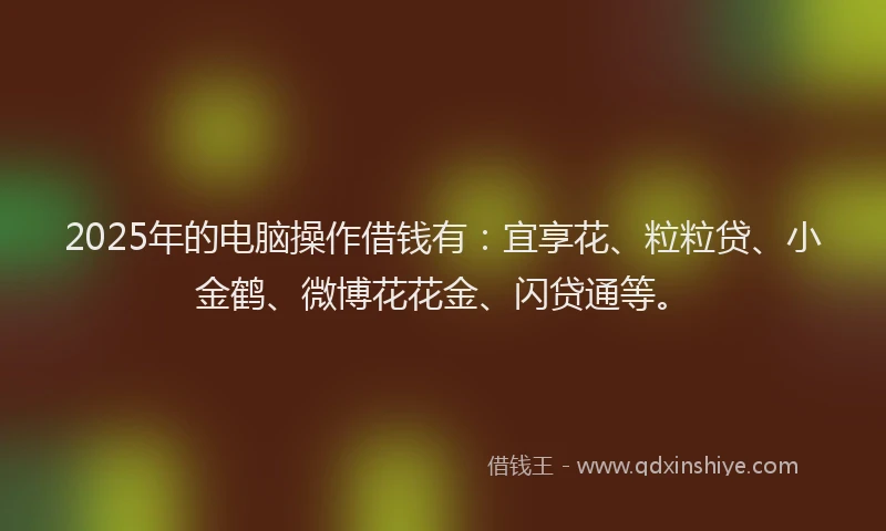 2025年的电脑操作借钱有：宜享花、粒粒贷、小金鹤、微博花花金、闪贷通等。