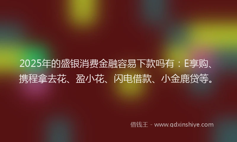 2025年的盛银消费金融容易下款吗有：E享购、携程拿去花、盈小花、闪电借款、小金鹿贷等。