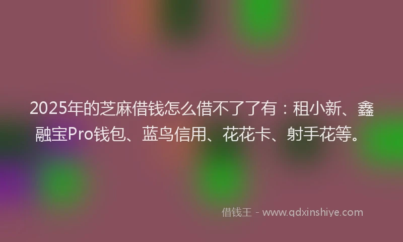 2025年的芝麻借钱怎么借不了了有：租小新、鑫融宝Pro钱包、蓝鸟信用、花花卡、射手花等。