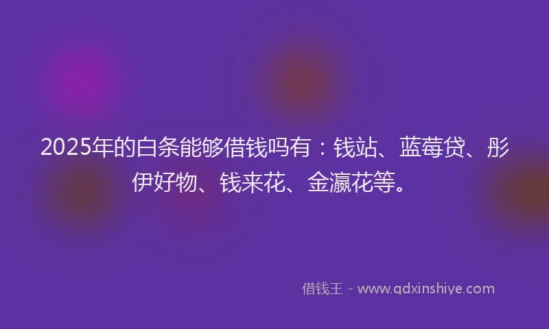 2025年的白条能够借钱吗有：钱站、蓝莓贷、彤伊好物、钱来花、金瀛花等。