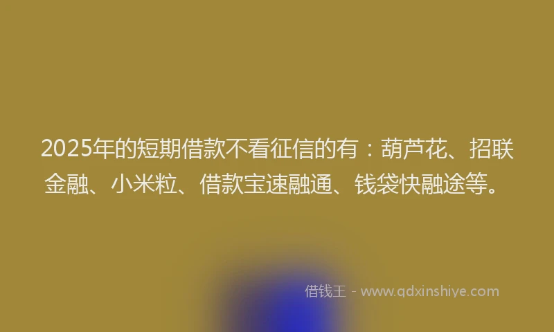 2025年的短期借款不看征信的有：葫芦花、招联金融、小米粒、借款宝速融通、钱袋快融途等。