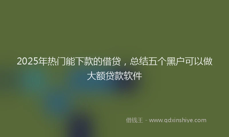 2025年热门能下款的借贷，总结五个黑户可以做大额贷款软件